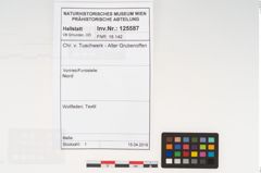 Foto von Textil (NHMW-PRAE-125587)